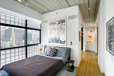 ニューヨークにある中くらいなコンテンポラリースタイルのおしゃれな客用寝室 (白い壁、淡色無垢フローリング、暖炉なし、茶色い床)
