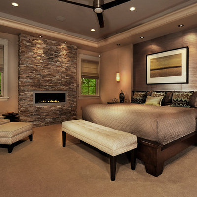 Trendy carpeted bedroom photo in Philadelphia with a ribbon fireplace