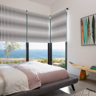 Mid-sized minimalist guest concrete floor and gray floor bedroom photo in Santa Barbara with white walls