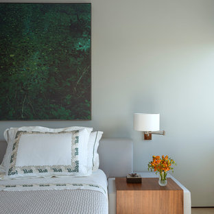 Diseño de habitación de invitados contemporánea, de tamaño medio, con paredes verdes, moqueta y suelo verde