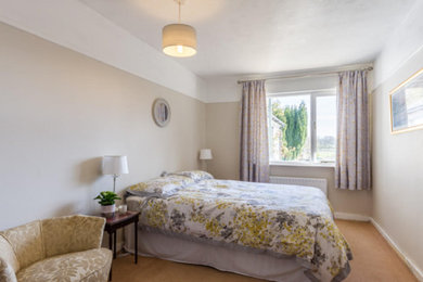 Diseño de habitación de invitados minimalista grande con paredes grises y moqueta