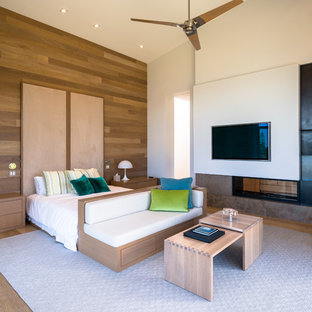 Diseño de dormitorio principal, actual, grande, con paredes blancas, suelo de madera en tonos medios, chimenea de doble cara, suelo marrón y marco de chimenea de piedra