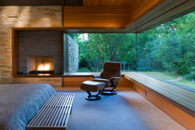 Cette image montre une chambre minimaliste avec une cheminée standard et un manteau de cheminée en pierre.