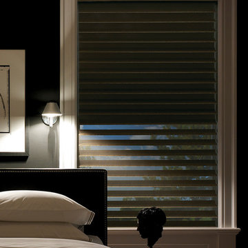 Hunter Douglas Silhouette® Window Shadings with A Deux System