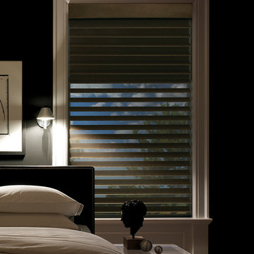 Hunter Douglas Silhouette® Window Shadings with A Deux System
