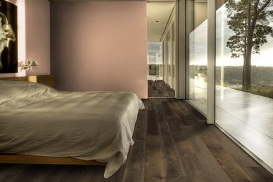 Example of a mountain style master dark wood floor bedroom design in San Francisco