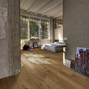 Imagen de dormitorio industrial, de tamaño medio, con paredes grises y suelo de madera clara