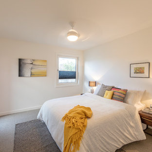 Small contemporary guest bedroom in Canberra - Queanbeyan with white walls, carpet and multi-coloured floor.
