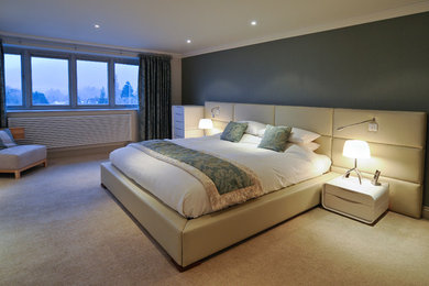 Photo of a large contemporary master bedroom in Other with green walls and carpet.