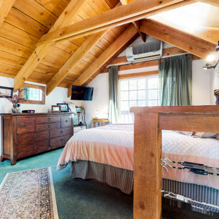 Esempio di una camera da letto stile loft rustica di medie dimensioni con moquette e pavimento turchese