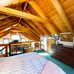 Ispirazione per una camera da letto stile loft rustica di medie dimensioni con moquette e pavimento turchese