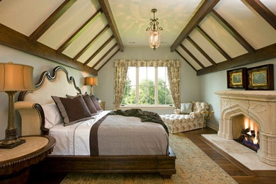 Example of a large classic master medium tone wood floor bedroom design in Chicago with blue walls, a standard fireplace and a stone fireplace