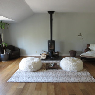 Diseño de habitación de invitados tradicional, de tamaño medio, con paredes grises, suelo de madera oscura, estufa de leña y marco de chimenea de metal
