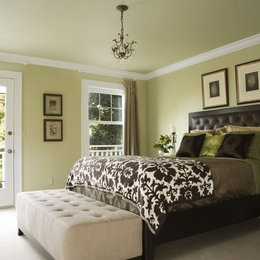 https://www.houzz.com/photos/master-bedroom-addition-traditional-bedroom-detroit-phvw-vp~375638