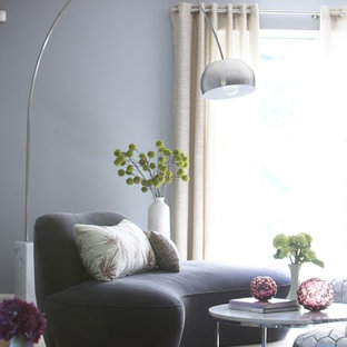 Bedroom - contemporary guest medium tone wood floor bedroom idea in Boston with gray walls and no fireplace