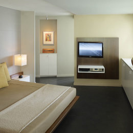 https://www.houzz.com/photos/master-bedroom-with-custom-bed-and-media-center-contemporary-bedroom-dc-metro-phvw-vp~264802