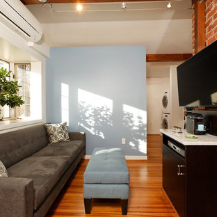 Imagen de dormitorio tipo loft, tradicional renovado, pequeño, con paredes marrones, suelo de madera en tonos medios y chimenea lineal