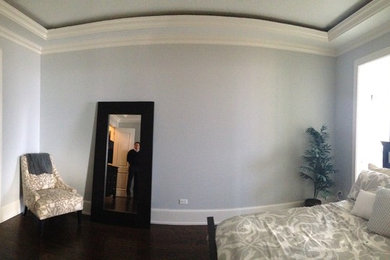 シカゴにある広いトラディショナルスタイルのおしゃれな主寝室 (青い壁、濃色無垢フローリング)