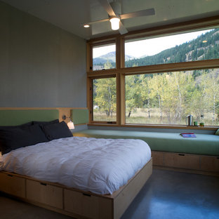 Diseño de dormitorio principal, actual, pequeño, sin chimenea, con suelo de cemento y paredes grises