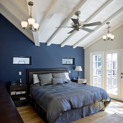 Example of a classic light wood floor bedroom design in San Francisco with blue walls and no fireplace