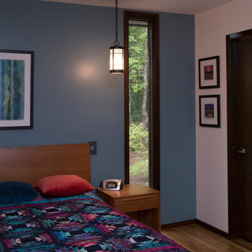 Mid-century Jewel-toned Master Bedroom