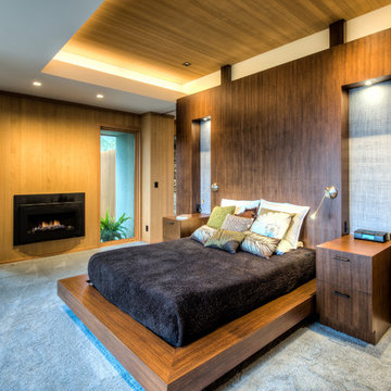 Mid-century Minimalism - Home Remodel