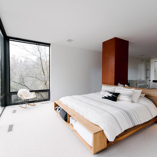 Inspiration for a huge modern master carpeted bedroom remodel in Salt Lake City with white walls and no fireplace