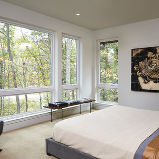 Example of a 1950s carpeted bedroom design in Grand Rapids with white walls
