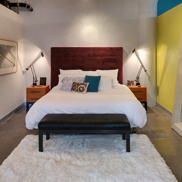 Minneapolis Interior Designer - Eclectic Loft