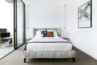 シドニーにある中くらいなコンテンポラリースタイルのおしゃれな主寝室 (白い壁、カーペット敷き) のレイアウト