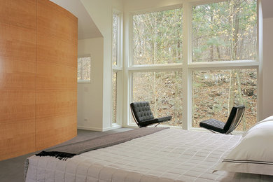 Foto de dormitorio principal moderno grande con paredes blancas, moqueta y suelo gris