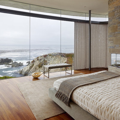 Bedroom - contemporary medium tone wood floor bedroom idea in Other with a stone fireplace and a corner fireplace