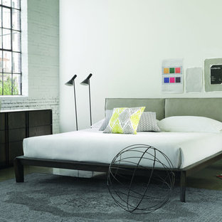 Inspiration for a modern bedroom remodel in New York