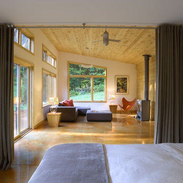 Modern Cabin