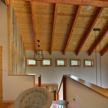 Modern Colorado cabin
