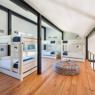 Foto de dormitorio tipo loft, moderno, grande, con paredes blancas, suelo de madera clara y marco de chimenea de piedra