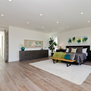 Großes Modernes Hauptschlafzimmer mit weißer Wandfarbe, hellem Holzboden, Kamin, gefliester Kaminumrandung und braunem Boden in Los Angeles