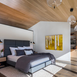 Modelo de dormitorio principal, rural, sin chimenea, con paredes blancas y suelo de madera oscura