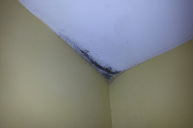 Mold on a bedroom ceiling