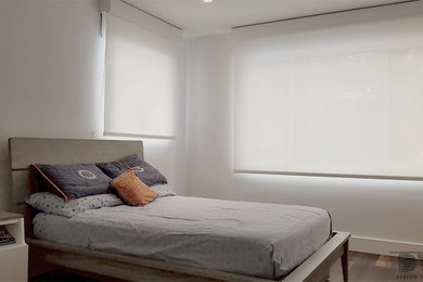 Motorized Dual Roller Shades