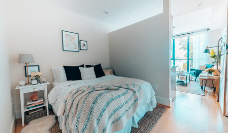 My Houzz: Budget-Friendly Style for a Downtown D.C. Studio