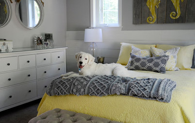 Design-Happy Pets Cozy Up at Home