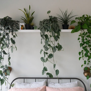 My Houzz: This D.C. Baker’s Apartment Is a Plant-Filled Oasis