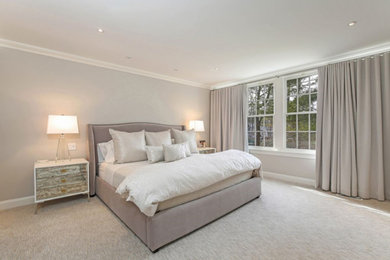 Large transitional master carpeted and white floor bedroom photo in New York with white walls