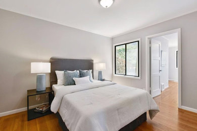 Foto de dormitorio principal actual de tamaño medio sin chimenea con paredes grises y suelo de madera clara