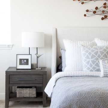 Transitional Bedroom
