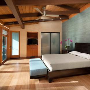 75 Beautiful Bamboo Floor Bedroom With Blue Walls Pictures Ideas May 21 Houzz