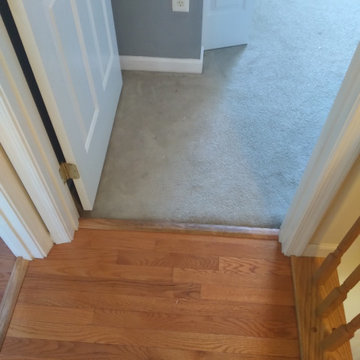 Odenton - Carpet Replacement
