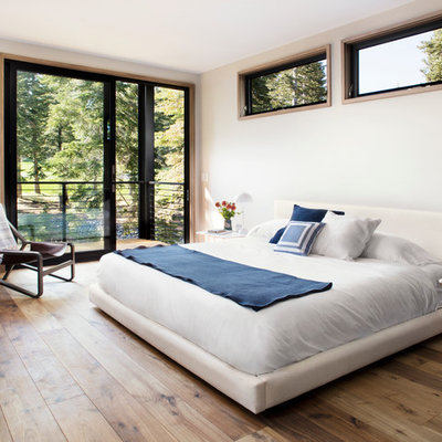 Inspiration for a large modern master light wood floor bedroom remodel in San Francisco with white walls, a two-sided fireplace and a plaster fireplace