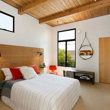 One of a Kind Modern Berkeley Home